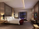 Los muebles modernos elegantes del dormitorio del hotel de la estrella fijan para el apartamento/el cuarto de invitados