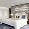 Superficie hermosa del diseño del hotel del apartamento de los suites modernos de lujo de los muebles