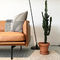 Sofá de la sala de estar de Comtemporary con doble de madera/moderno tres Seat del sofá/del cuero de la tela el solo